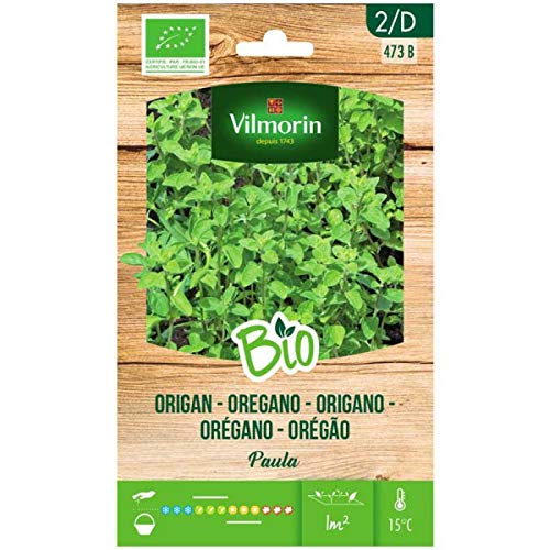 SEMILLAS ORÉGANO BIO ECOLÓGICAS: Amazon.es: Jardín