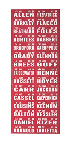 2018 NFL Fantasy Football Draft Kit