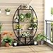 Tribesigns 5-Tier Plant Stand Pack of 2, Multi-Purpose Curved Display Shelf Bonsai Flower Plant Stand Rack for Garden, Patio, or Balcony, Indoor and Outdoor Usethumb 2