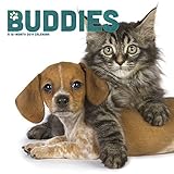 2019 Buddies Wall Calendar by