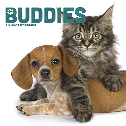 2019 Buddies Wall Calendar by Trends International