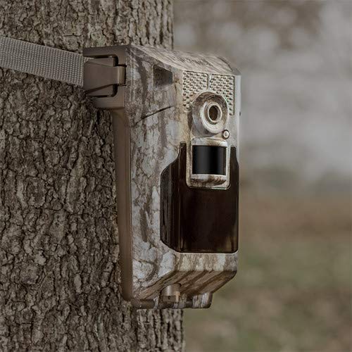 Bushnell Impulse Cellular Trail Camera (Verizon) 20MP+ 32GB SD Card