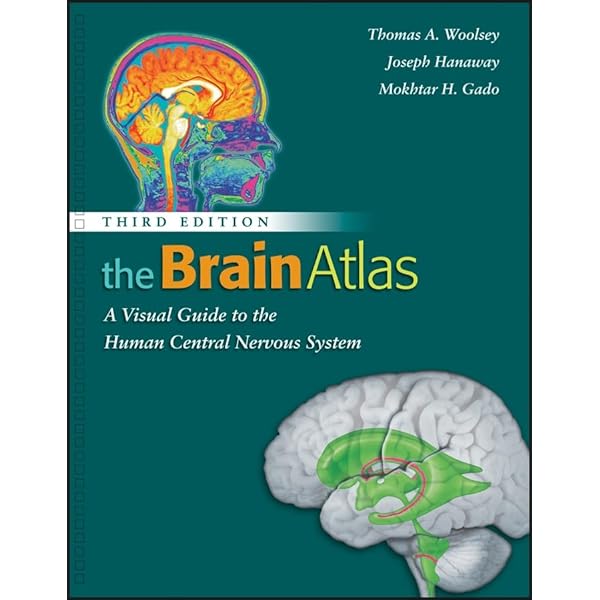 2604 THE SCIENCE LIBRARY 1-7巻 洋書 絵本/M3 2604 THE SCIENCE LIBRARY 1-7巻 洋書 絵本/M3 My First Science