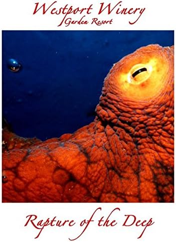 Westport Winery "Rapture of the Deep" Sparkling Cranberry (Benefits the Driftwood Theatre) 750 mL Wine