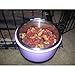 Pet Food Bowl Removable Stainless Steel Hanging Bowl with Bolt Holder,By Lesypet