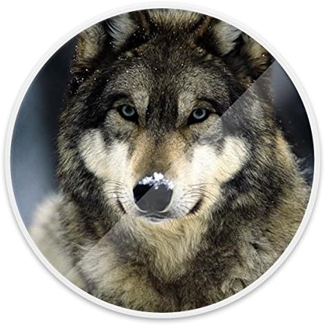 Cell Phone Holder,Pop grip Socket and Stand for Smartphones, iPhone and Tablets(Wolf)