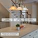 Hudson Bulb Co. Vintage Edison LED Light Bulbs, 6W, E26/E27 Base, Dimmable 60W Equivalent, 4000K Daylight White Lights, ST58 Style Set for Home, Kitchen, Indoor and Outdoor Use - 6 Pack