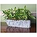 Natural Elements Rock Planter (Trough) – Realistic Woodland-Themed with Intricate Stone Detail + Fiber Soil + Moss Mulch. Grow Small Succulents, Cactus, African Violets. Striking in Any Décor.