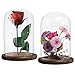 MyGift 8-Inch Clear Cloche Bell Glass Dome - Decorative Tabletop Centerpiece Cloche Jar Case with Rustic Dark Brown Wood Base, Set of 2