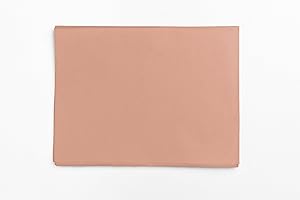 InsideMyNest Tissue Paper Sheets Premium Quality Gift Wrapping 30x20 inches (20 Sheets) (Terracotta)
