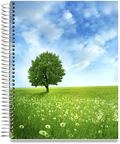 2018 Planner by Tools4Wisdom - January to December Calendar Year - Motivational Daily-Weekly Planner Monthly Goals Journal (8.5 x 11 Spiral Softcover w Tabs)