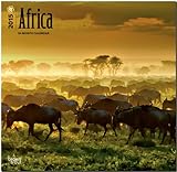 Africa 2015 Square 12x12 by 
