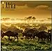 Africa 2015 Square 12x12 by 