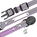 Mogoko Personalized Breakaway Cat Collar, Reflective Customized Kitten Pet Collar with Engraved ID Name Plate and Bell(Purple) 7.8