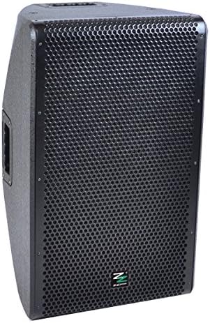 zzipp zzeus12 – Caja Acústica Amplificada 350 W RMS: Amazon.es: Instrumentos musicales