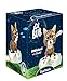 Royal Bobbles Lil BUB Talking Bobblehead