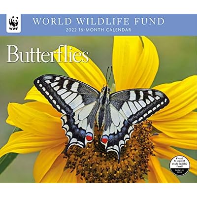 Butterflies WWF 2022 Wall Calendar Calendar – Wall Algeria | Ubuy