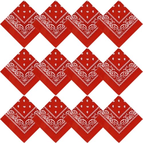 Zptjql 12 Pack Paisley Cowboy Bandanas, Unisex Bulk Handkerchief… at Amazon
