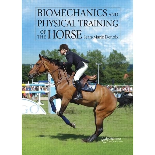 NASM Essentials of Sports Performance Training: .: 9780781768030