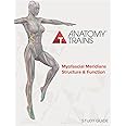 Anatomy Trains Myofascial Meridians Structure & Function Study Guide
