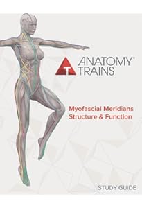 Anatomy Trains: Myofascial Meridians for Manual Therapists and