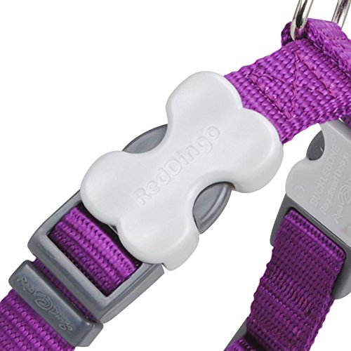 Red Dingo Classic Dog Harness, Large, Purple