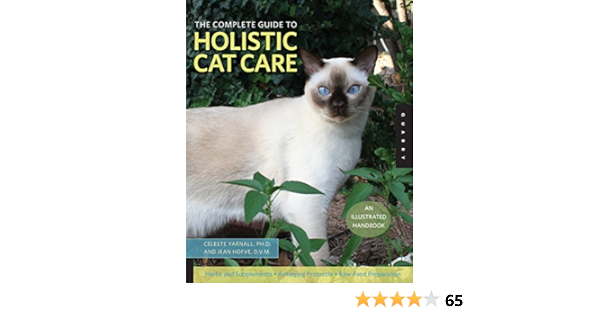 holistic cat care