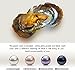 Nameo Wholesale 10pcs Akoya Oysters with Cultured Oval Pearls Inside Birthday Gifts (7.5-8mm)