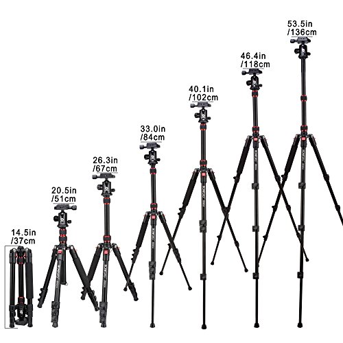 BONFOTO B690A Lightweight Aluminum Alloy Camera Travel Portable Tripod with 360 Degree Ball Head,1/4" Quick Release Plate,Bubble Level and Carry Bag for Canon Nikon Sony DSLR - Thumbnail 3