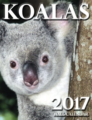 Koalas 2017 Wall Calendar