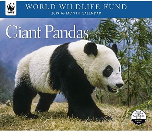 2019 Giant Pandas WWF Wall Calendar, Bears by Calendar Ink