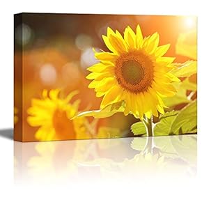 Canvas Prints Wall Art - Big Beautiful Yellow Sunflowers in a Sunny Day | Modern Wall Decor/Home Decoration Stretched Gallery Canvas Wrap Giclee Print & Ready to Hang - 12" x 18"