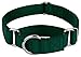 Country Brook Petz Martingale Dog Collar - Heavy-Duty Training Collar with No Buckle - Service Dog Collar for All Pups - Vibrant, Colorful Collection (Green, 1 Inch, Medium)