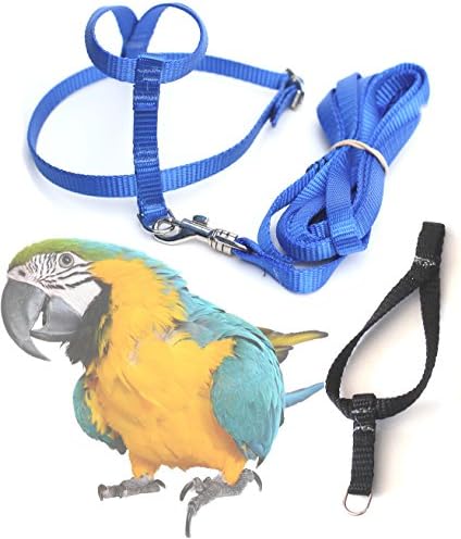 Fred Bird Harness &amp; Leash with additional larger TRAINING Head Loop