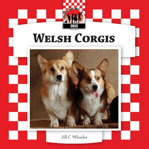 Welsh Corgis (Checkerboard Animal Library: Dogs)