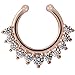 Achieer Nose Ring Septum Piercing Jewelry, Cubic Zircon Fake Septum Nose Ring for Women Non Piercing Clip On Body Piercing Jewelry (Rose Gold)
