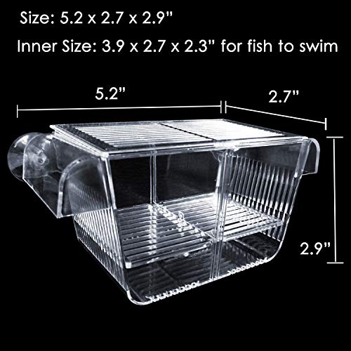 6 Capetsma+Isolation+Acclimation+Incubator+Clownfish