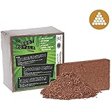 Root Royale Coco Brick