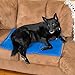 AUGYMER Dog Cooling Mat, Cool Gel Mat Chilly Gel Pad for Pet Dogs Cats Cooling Bad Mats 65*50cm
