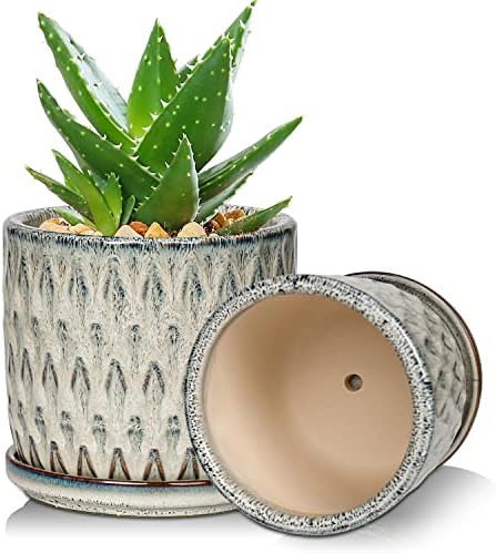 Oairse Plant Pots Indoor Set of 2 Ceramic Flower Pots 12CM 14CM Small  Garden Planters with Saucers Tray and Drainage Holes, Blue Succulent Plant  Pot Cactus Plant Pot pour Indoor Plant Mini