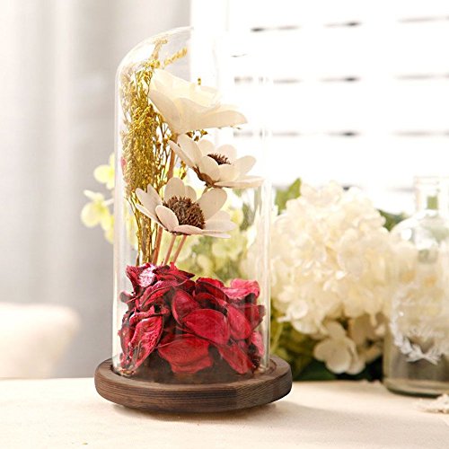 Reelva Decorative Clear Glass Cloche Bell Jar Display Case (D9cmH25cm)