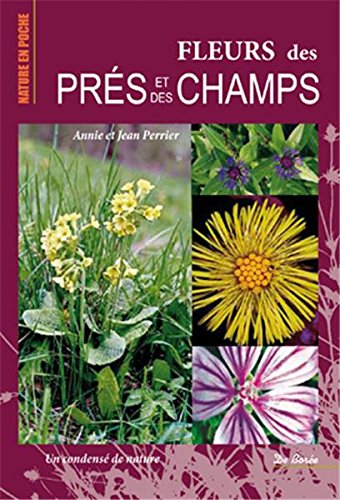 Fleurs des près et des champs