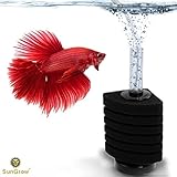 SunGrow 6-Layer Betta Corner Filter - Provides Biological and Chemical Filtration - Easy to Setup, just Connect to Air Pump - Promotes Colonization of Nitrifying Bacteria - Ideal for Small Fish Tanks