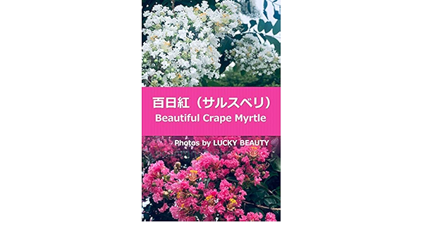 Amazon Com Beautiful Crape Myrtle Japanese Edition Ebook Lucky Beauty Books