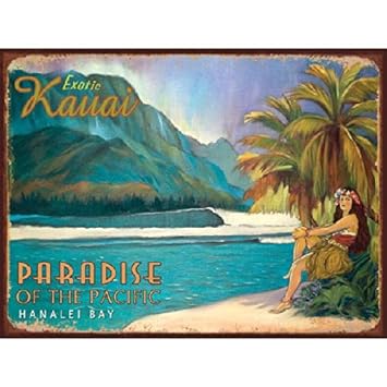 Download Decor de cuisine tropicale HD