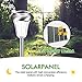 AZIRIER Solar Lights Waterproof Solar Garden Lights, Stainless Steel Solar Landscape Lights Outdoor for Lawn Patio Yard Garden Walkway 8 Pack
