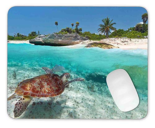 Caribbean Sea Scenery With Green Turtle Mouse Pad Gaming Mouse Pad Mousepad Nonslip Rubber Backing