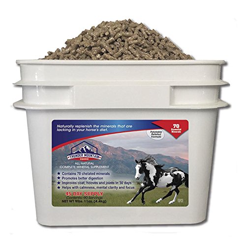 Top 10 Horse Supplements For Laminitis of 2019 No Place Called Home
