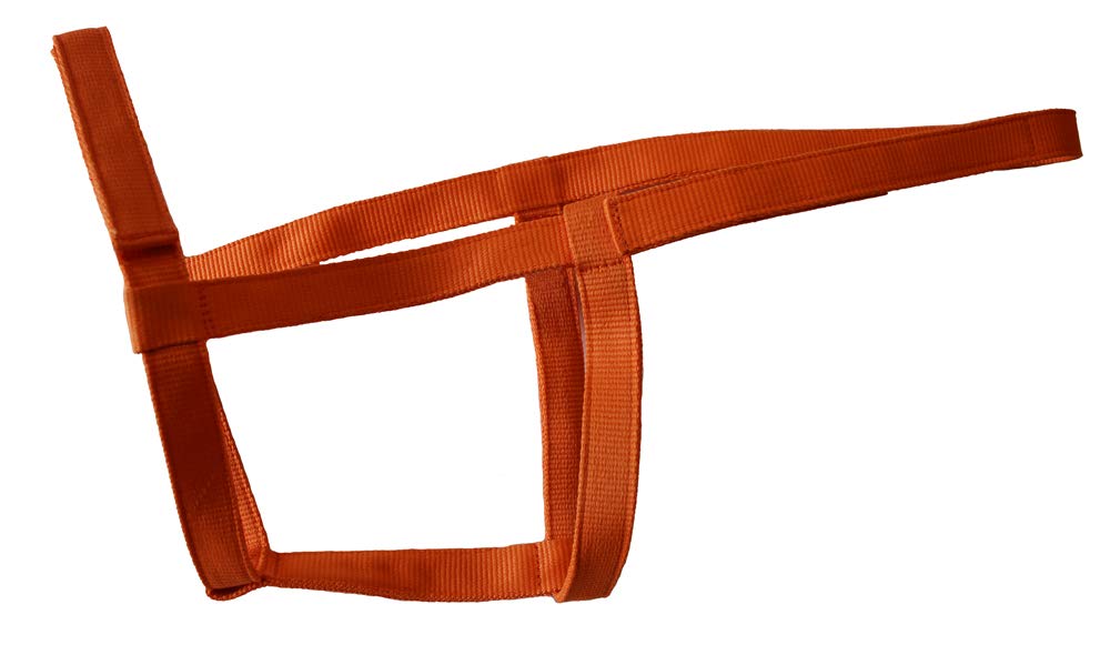 Rhinegold Field Safe Headcollar-Full-Tangerine