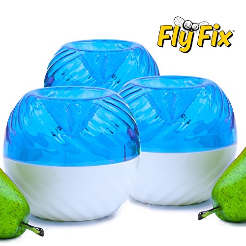 FlyFix Fruit Fly Trap (Reusable) (3, Blue/White) FlyFix Fruit Fly Trap (Reusable) (3, Blue/White)